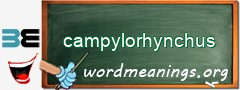 WordMeaning blackboard for campylorhynchus